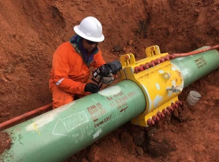 Trabajo de inspección para Merlan